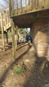 Spring Project: Plant shade tolerant plants under deck