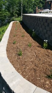 Perennials Along Retaining Wall